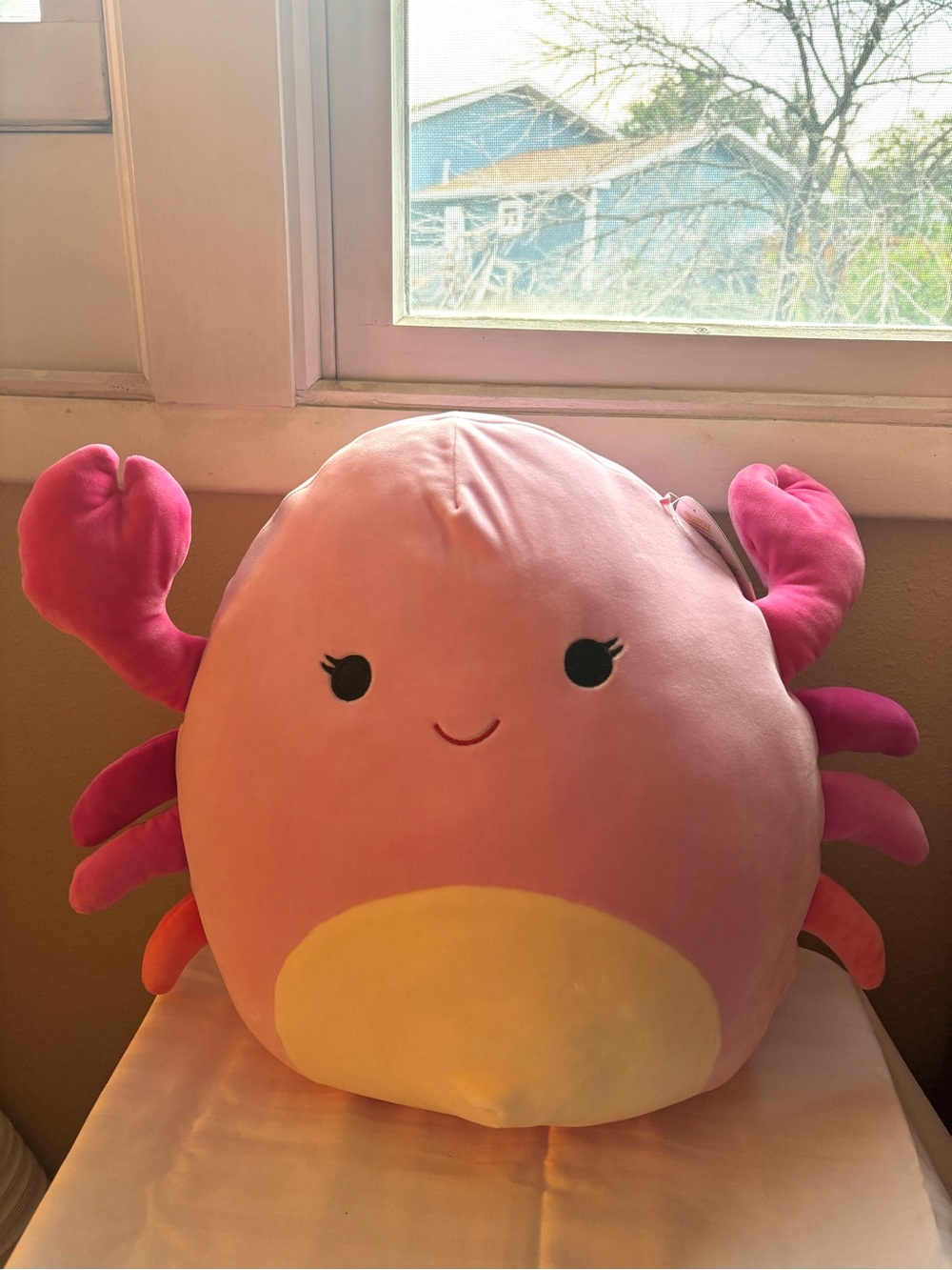 14” Cailey Squishmallow